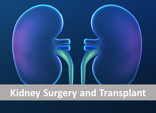 Kidney Surgery and Transplant