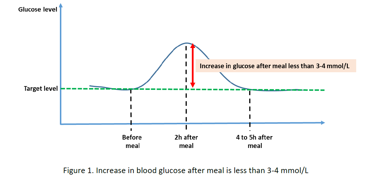 Increase in blood glucose after meal