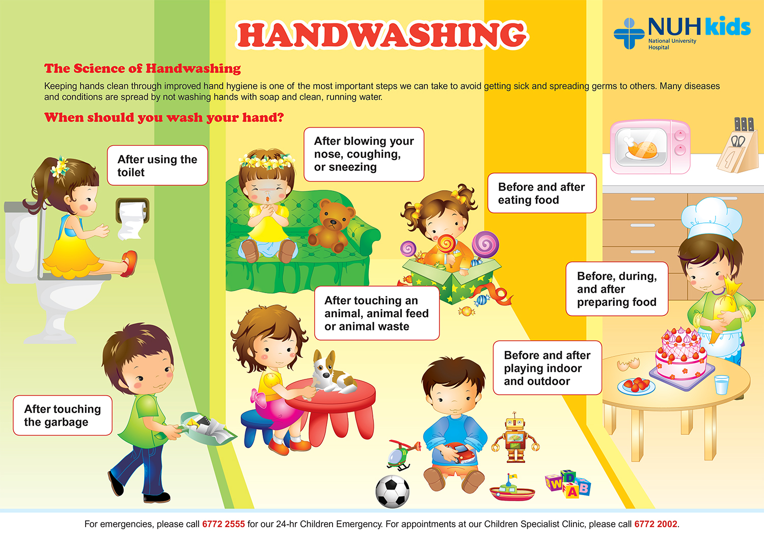 When should you wash your hands?