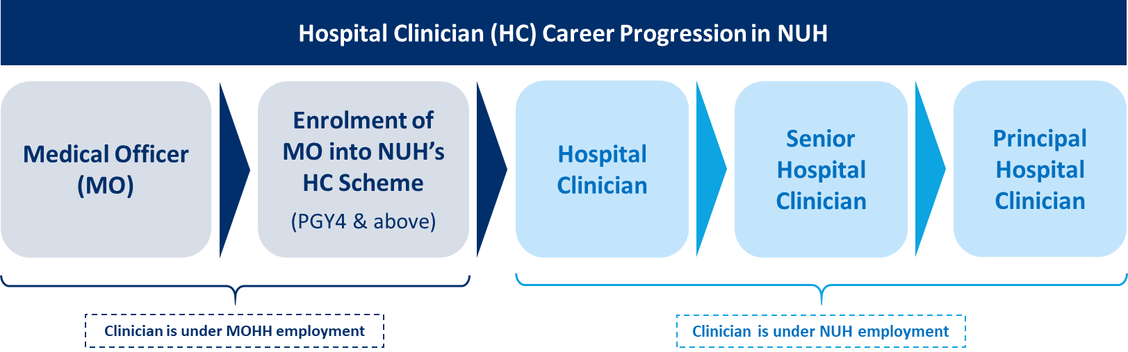 Hospital Clinician Career Progression in NUH