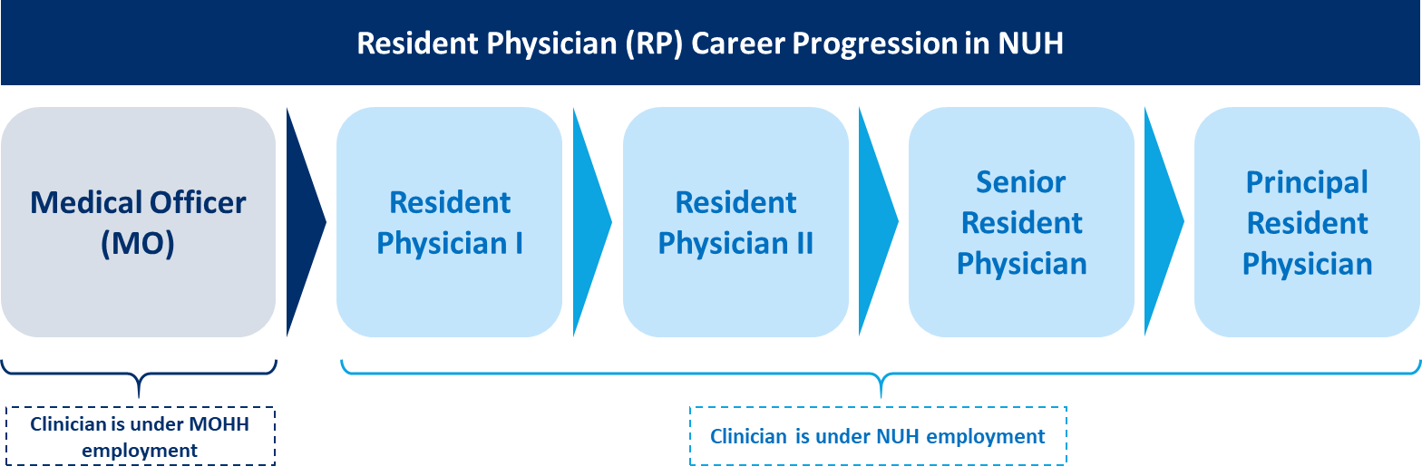 Resident Physician Career Progression