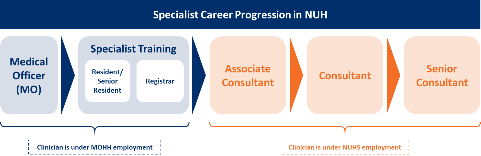 Specialists Career Progression in NUH