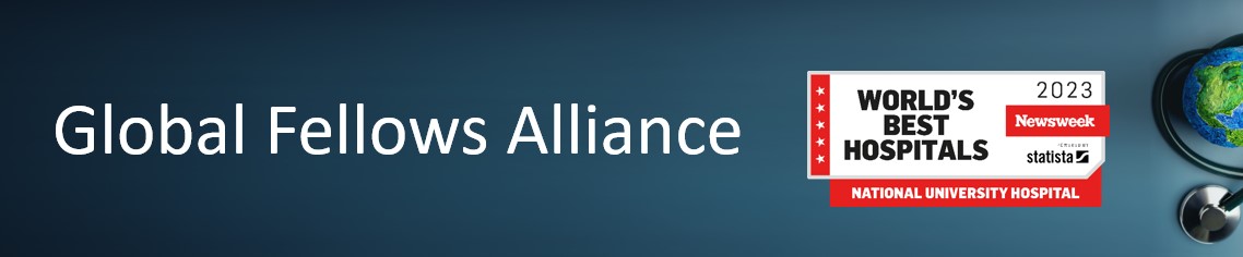Global Fellows Alliance