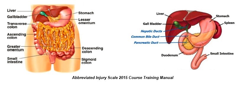 Abdominal Injuries