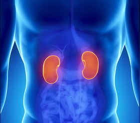 Kidney Transplant Programme